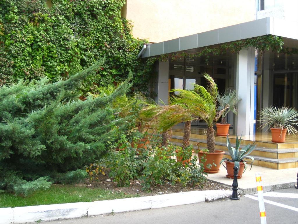 Hotel Palas Mamaja Zewnętrze zdjęcie